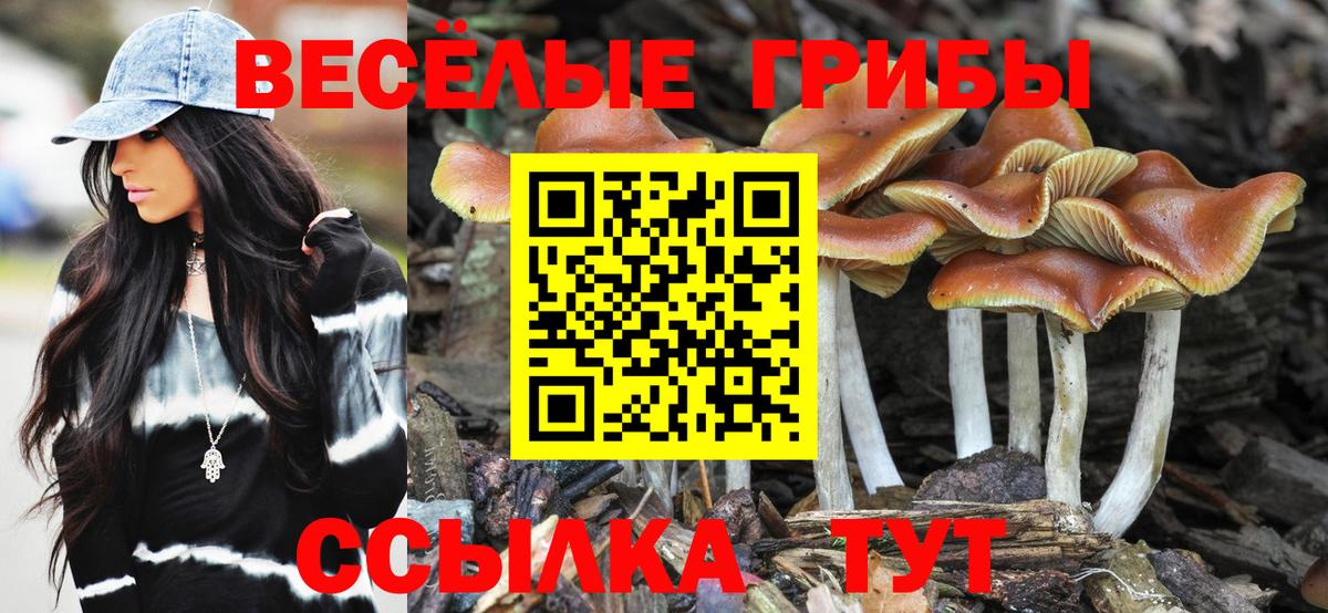 Галлюциногенные грибы GOLDEN TEACHER Нижний Новгород